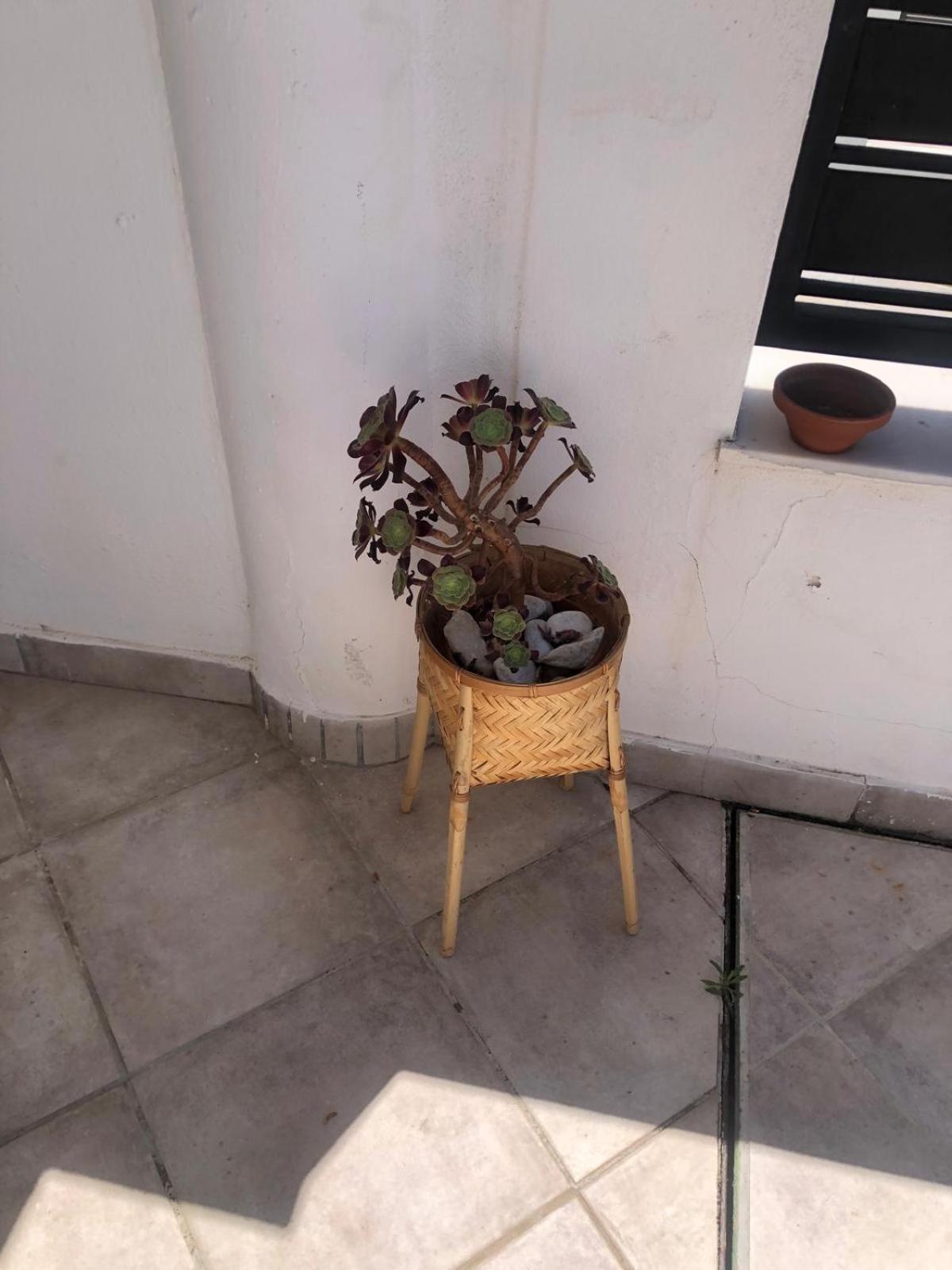 Casa Kava In A Superior Aparthotel Resort Near Cabopino No Car Needed Marbella Ngoại thất bức ảnh